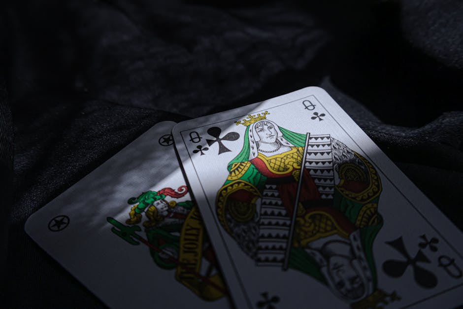 Bingo Plus Reward Points Guide Registration Login and Tips